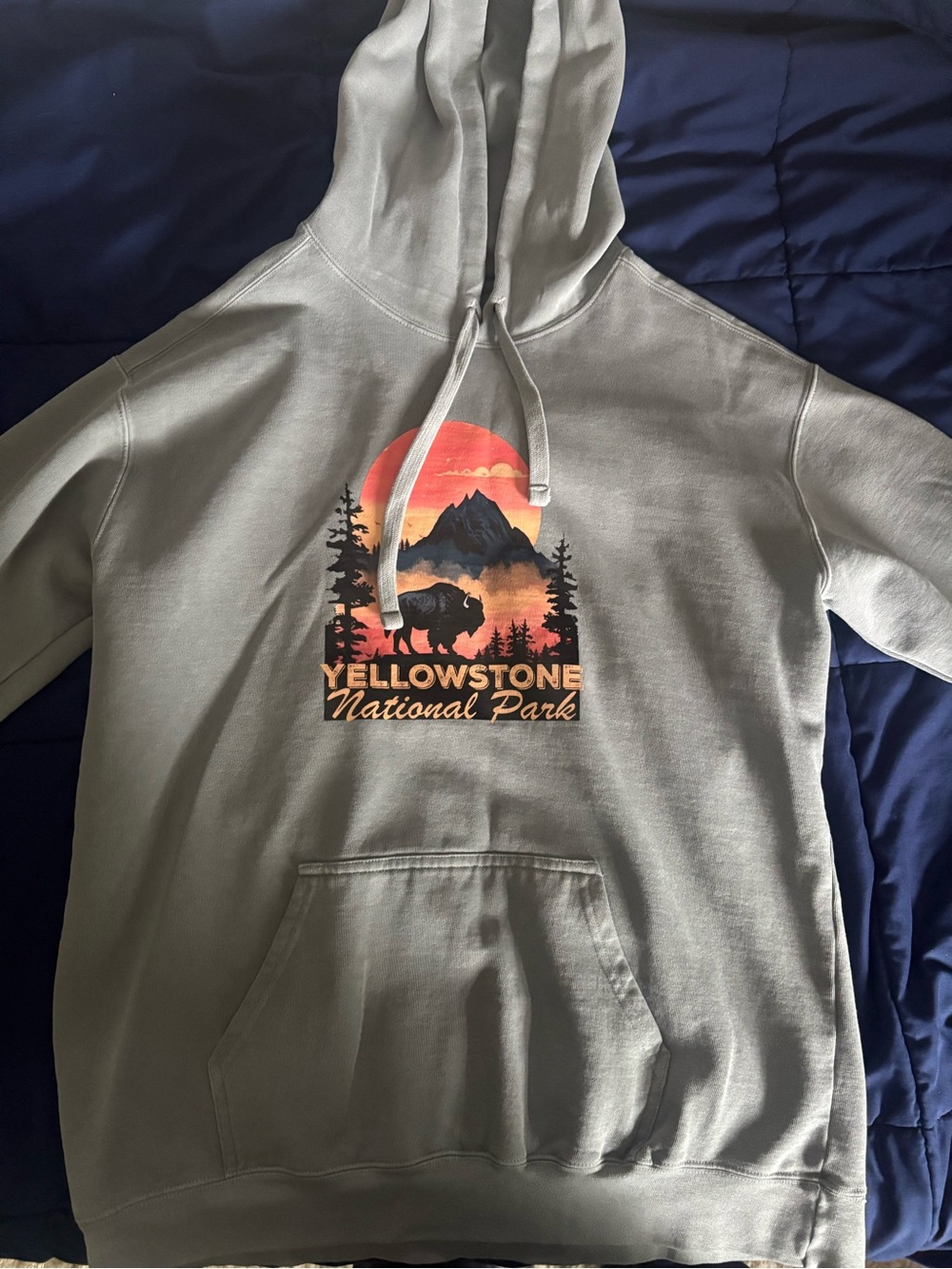 Yellowstone hoodie
